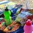 PICNIC NA MONTANHA EM PORTUGAL Shorts Family Happy Picnic Portugal