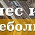 ТОП 5 Бизнес Идей для МАЛЕНЬКОГО ГОРОДА 3 часть