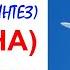 97 Звук самолёта в небе 10 часов Sound Of Airplane Звуки для сна Белый шум Sleep Sounds White Noise