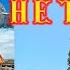 На земле лесов НЕТ ВСЕ ЧАСТИ