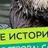 Командорские острова самый большой морской заповедник