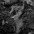 Dust Covered Bones Official Video Gabriel McDowell