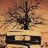 Sanctuary By William Faulkner First Impressions And Explorations