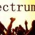 Florence The Machine Spectrum Calvin Harris Remix Radio Edit