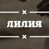 Каракесек Жига Лилия