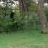CKV FILM