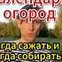 Когда собирать лекарственные растения и урожай Лунный календарь астрология психология