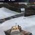 116F3 7500 урона Досадное поражение в конце Wotblitz Tanksblitz