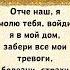 Отче наш я молю тебя войди я в мой дом забери все мои тревоги болезни страхи и благослови тех