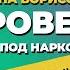 Исповедь Даны Борисовой наркотики биполярка алкоголь Как звезд подсаживают на наркотики