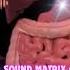 Spring How To Heal Your Intestines Sound Matrix Of Garyaev Quantum Healing