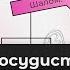 Экзамен по физиологии СЕРДЕЧНО СОСУДИСТАЯ СИСТЕМА Часть 1