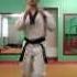 Taekwondo WTF Удары ногами Ап Чаги
