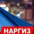 Певица Наргиз Домогательства фашиста Фадеева осуждение войны депортация из России арест мужья
