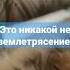 что там делает этот дядя корней сам не знаю