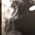 Snoop Lion Feat Collie Buddz Smoke The Weed