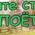 Попурри песен из советских мультфильмов