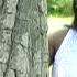 Haanu Aou Milda Teri Chaueri Video Song Singer Budh Ram Dms Tegubehad