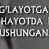 Qoshiq Yoqan Bosa Kanalga Obuna Bo Ling