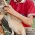 Bhojpuri Song Love Dj Bhojpurisong Bhokpurigana Bhojpurimusic Funny Bhojapurihitsong Come