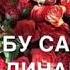 эту песню ищут все чеченская песня