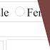 Store HTML Form Data To MySQL Database