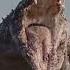 Best Monster Roars