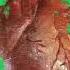 Human Heart Beating Animation Painting Style Green Screen 2K