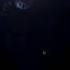 Joy Of Creation And Joy Of Creation Reborn All Jumpscares Normal Und Rükwertzreverse