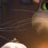 Happy Anniversary Talking Tom Friends Season 4 Episode 15