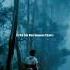 Humnava Mere Tu Hai To Meri Sanse Chale Lyrics Status WP Status Jubin Nautiyal Shorts Viral