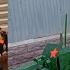 Победобесие шагает по стране слабоумие и отвага
