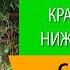 Топ 10 красивых девушек Нижнего Новгорода с 28 октября по 3 ноября 2019 года