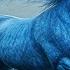 Eternal Melody For The Soul The Most Beautiful And Calming Music In The World Sergey Grischuk