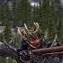 PROJECT FLINTLOCK Random Weapon Mod Xbox Modded Skyrim Mod Showcase