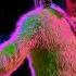 Lil Uzi Vert Of Course Slowed