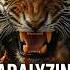 A Tiger S Roar Can Paralyze You