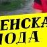 Деревенский гламур