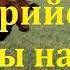 Преторийские коровы на лугу