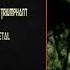 Dimmu Borgir Tormentor Of Christian Souls