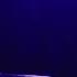 Браво Для тебя Feat Маша Макарова 17 05 14 Б2