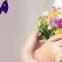 افخم شيلة زفة عروس 2020 مبروك مبروك يا بسمه باسم بسمه تنفيذ بالاسم 0502193235