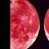 Premiere D Nox Full Moon 3000 Grad