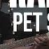 Ramones Pet Sematary Guitar Cover