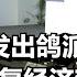 美国发出鸽派声音 称与中国恢复经济对话很重要