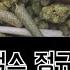 명반 빌스택스 DETOX 풀앨범 가사