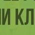 Вода и её роль в жизнедеятельности клетки