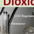 How To Set Up A Regulator For Carbon Dioxide Delivery