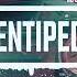 Cyberpunk Electro Racing By Infraction No Copyright Music Centipede