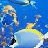 Музыка коралловый риф медитация отдых Animals Fish